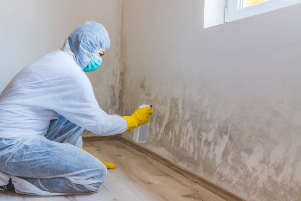 Licensed Mold Inspection service in Cocolamus, PA - WQB Mold Removal